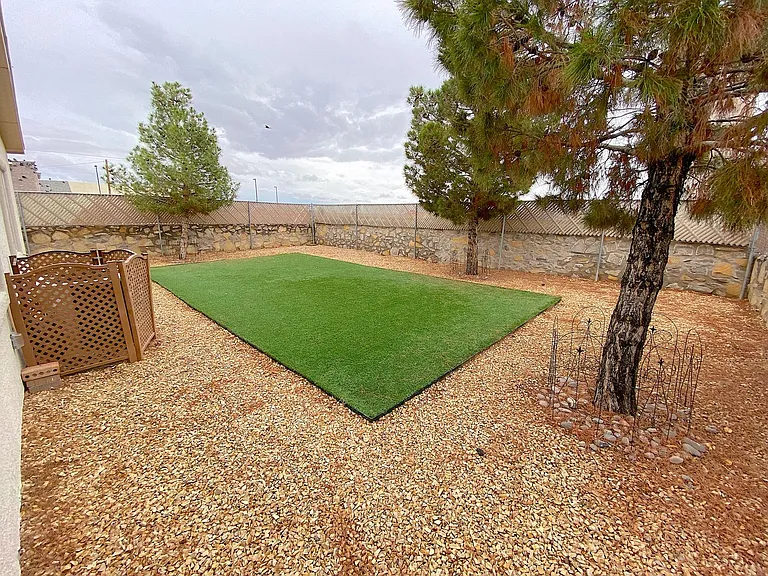 13336 Jonathan Elias Ct — Photo 19