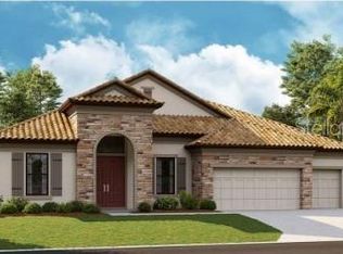 273 Mossy River Ct, Brandon, FL 33511