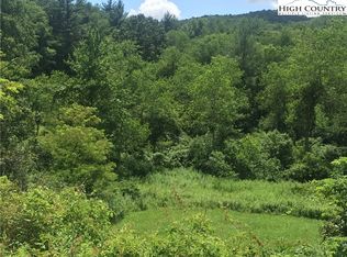 Tbd Laurel Fork Rd, Laurel Springs, NC 28644