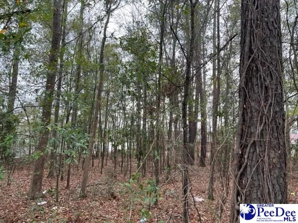 Conyers Ave, Florence, SC 29505