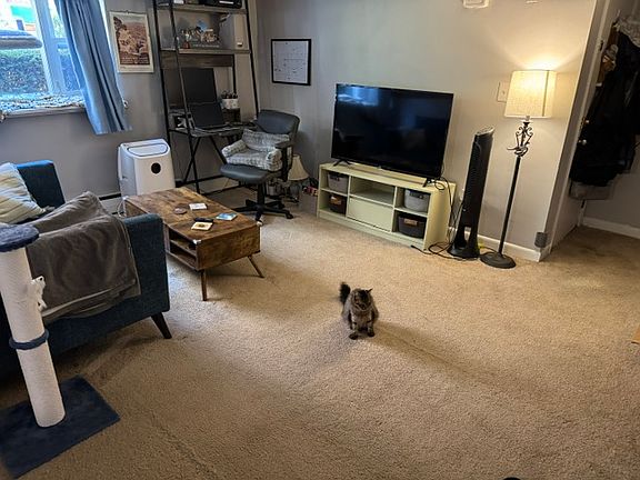 5th image of 65 Colborne Rd APT B2