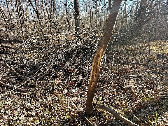 2nd image of 0 Old River Rd