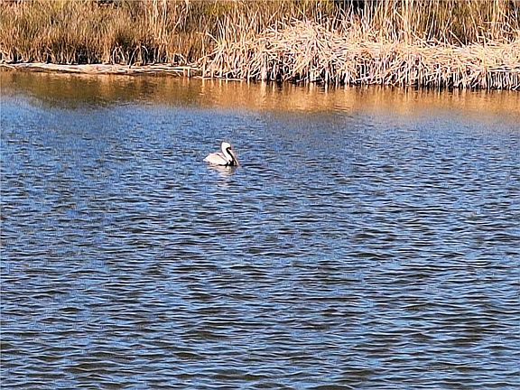 3rd image of 53337 Highway 433