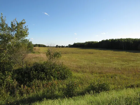 12th St SW Parcel 8, Backus, MN 56435