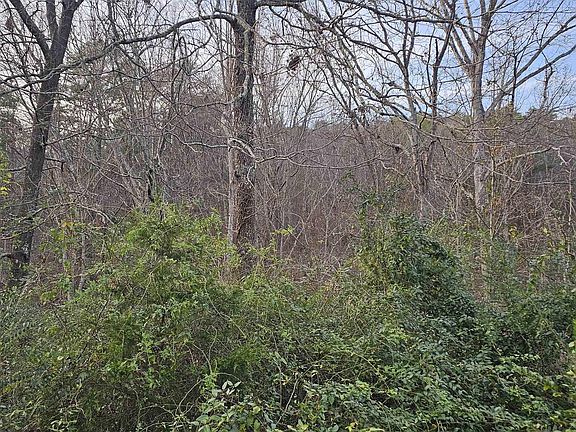 2nd image of 37/LOT Park Rd SW