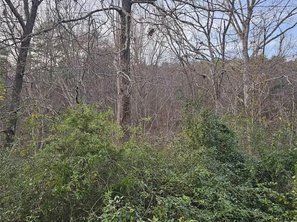 37/LOT Park Rd SW, Fort Payne, AL 35967