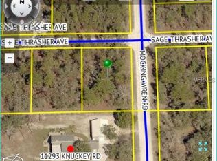 11324 Sage Thrasher Ave, Weeki Wachee, FL 34614