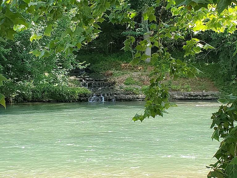 Cypress Creek