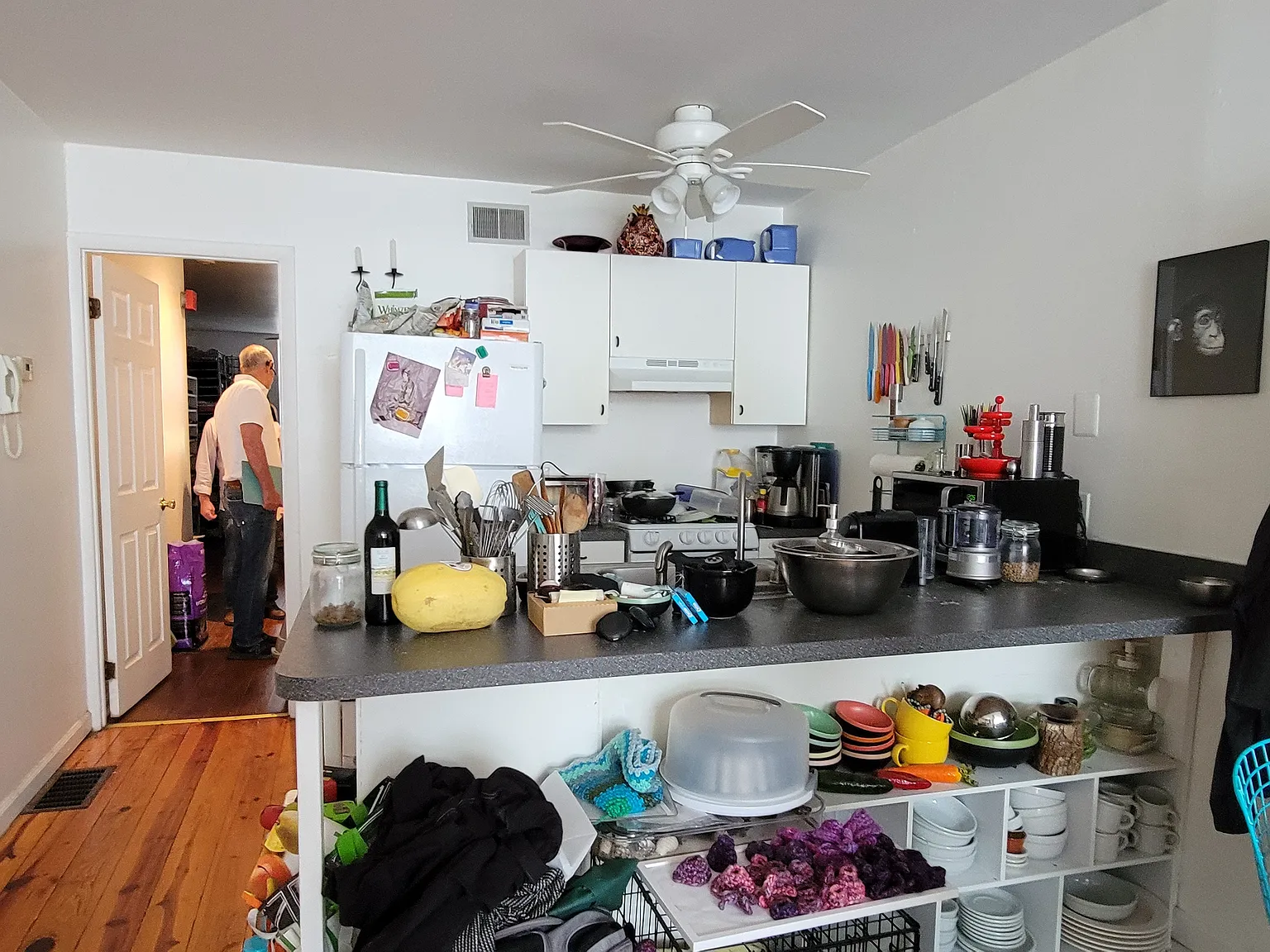 1 bed, 900 sqft, $1,950 — Photo 3