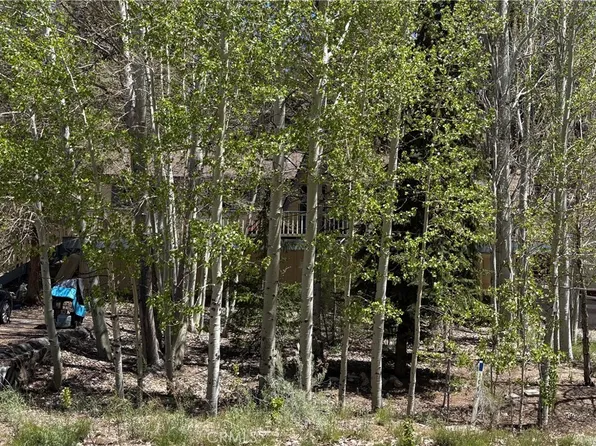 1060 Eagle Mountain Dr, Big Bear City, CA 92314
