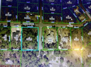 11046 Piquero Ave, Weeki Wachee, FL 34614