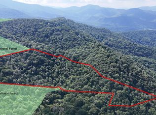 1126AC Log Cabin Ln, Roan Mountain, TN 37687