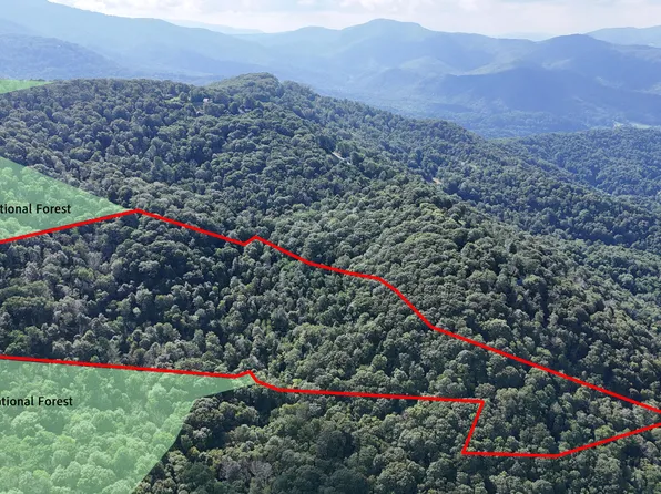 1126AC Log Cabin Ln, Roan Mountain, TN 37687