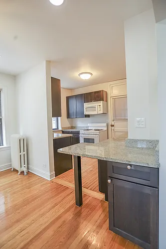 4252 N Clark St #3 Photo 1