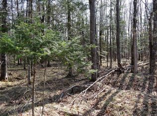 7 & 8 Silver Birch Dr #L, Cable, WI 54821