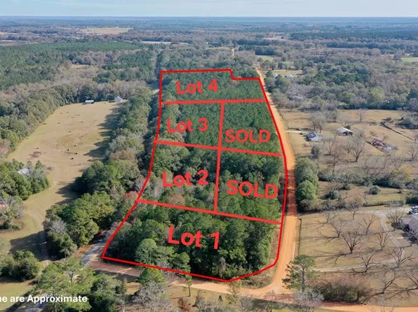0 E Dogwood Trl Lot 1, Coffee Springs, AL 36318