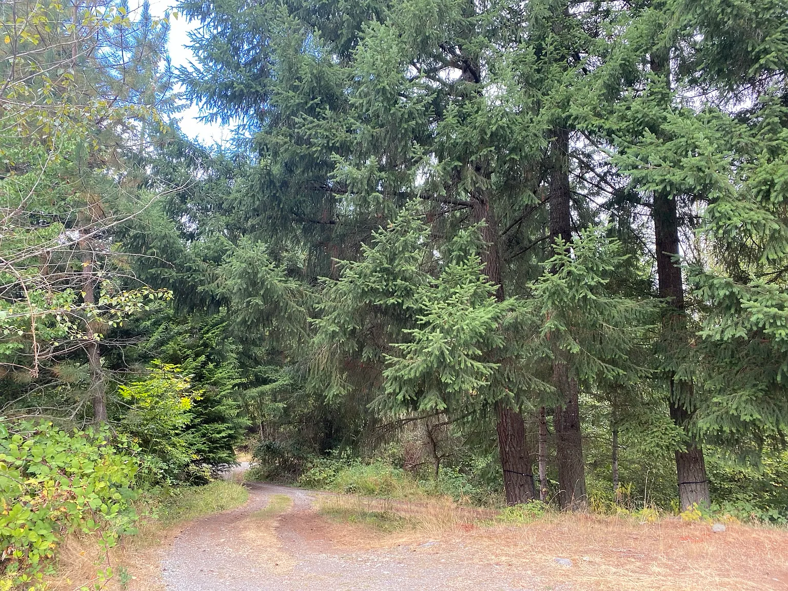 3 bed, 1500 sqft, $2,650 — Photo 2