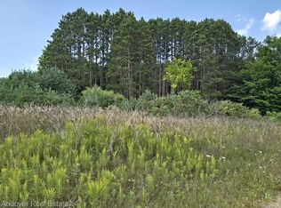 00B Eleven Mile Rd, Bear Lake, MI 49614