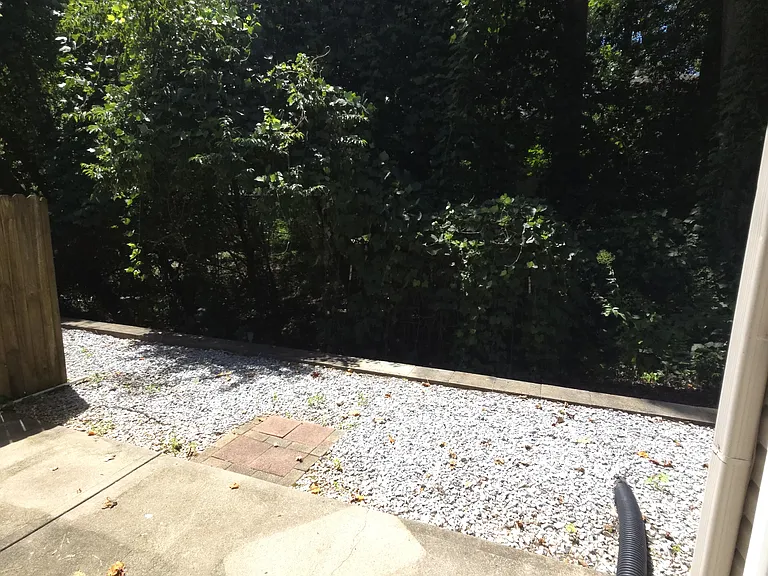 113 Bankside Ln — Photo 13