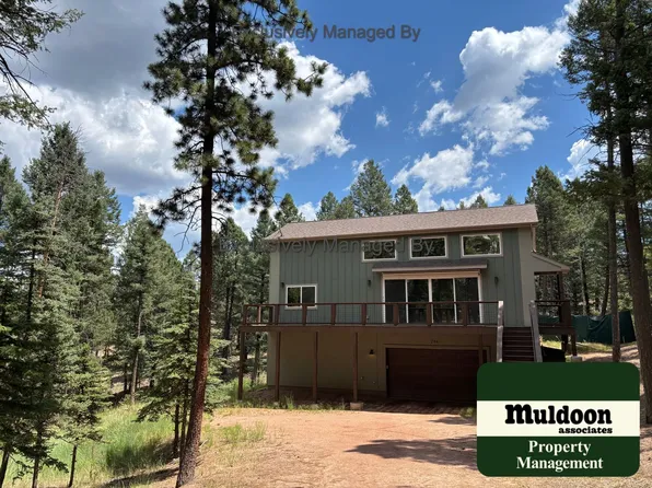 294 Southpark Rd, Florissant, CO 80816