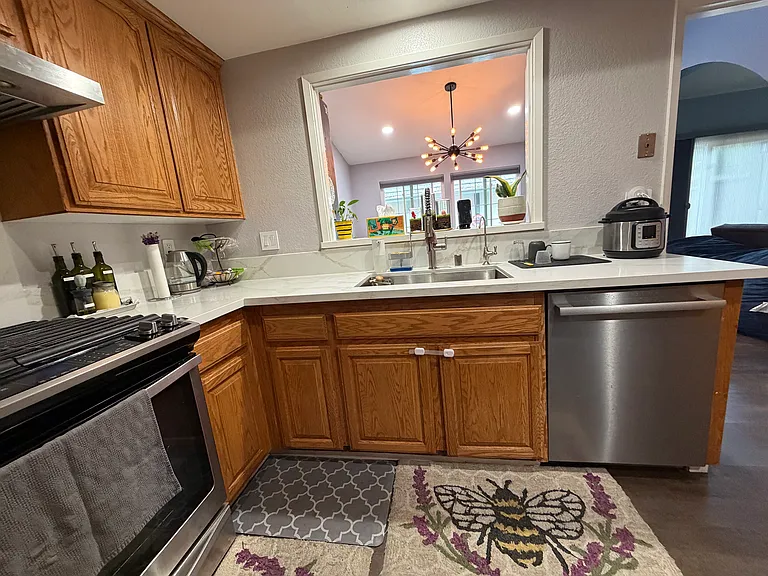 34344 Gadwall Cmn — Photo 10
