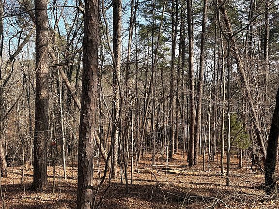 4th image of 0 Radio Springs Rd SW