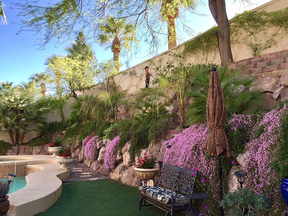 Back yard in bloom