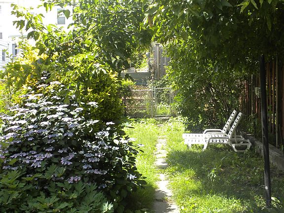 Back yard