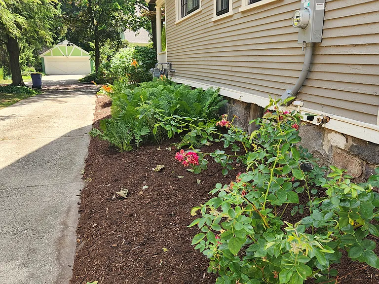 243 Orchard Hill St SE — Photo 2