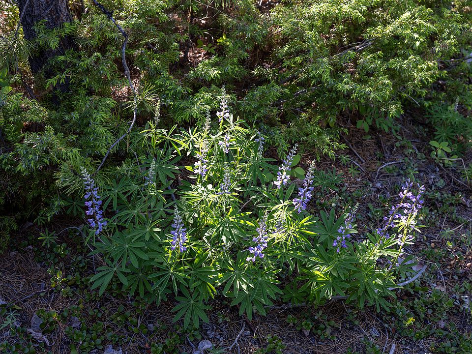 73rd image of this home