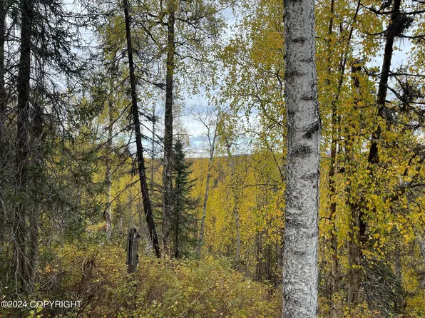 39330 S Malaspina Loop, Talkeetna, AK 99676