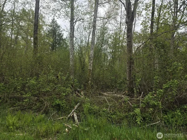 0 Shorewood Lane, Bellingham, WA 98226