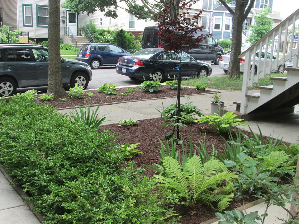 Front Yard