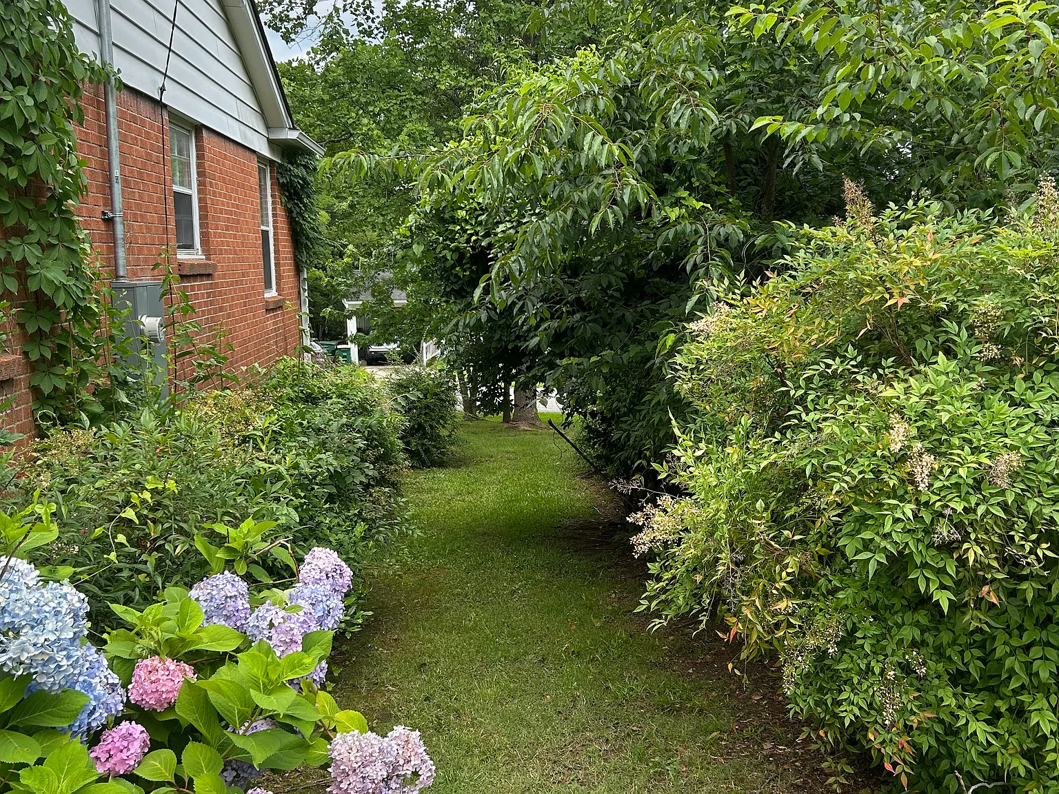3 bed, 1.5 bath, 1392 sqft, $1,900 — Photo 4