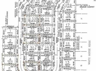 1110 Saddle Brook Ln, Metamora, IL 61548