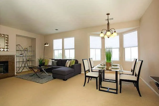 7223 Shannon Park Ct — Photo 20