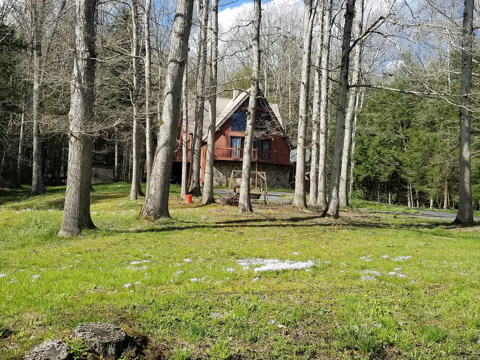 278 Forest Rd — Photo 4
