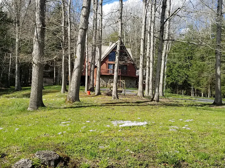 278 Forest Rd — Photo 4