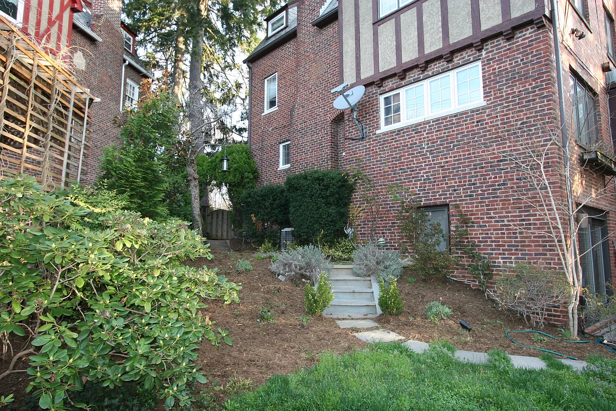 Back yard. - 4438 Q St NW