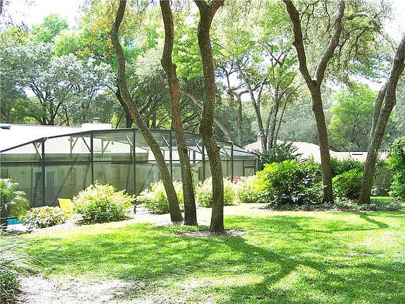 5th image of 695 Black Ironwood Dr