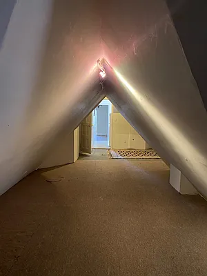 Rented by Douglas Elliman | media 20