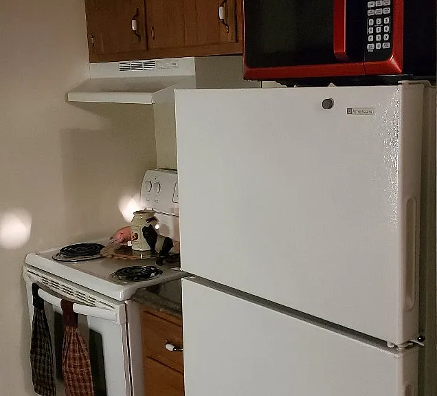 905 Rhue Haus Ln #201 — Photo 9