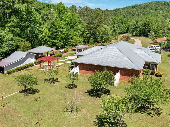 466 Seven Springs Rd, Wellington, AL 36279