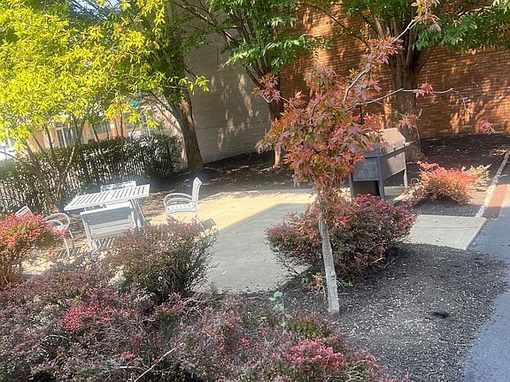 building courtyard/common area