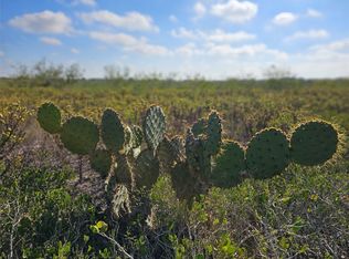 0 San Jose Ranch Rd, San Benito, TX 78586