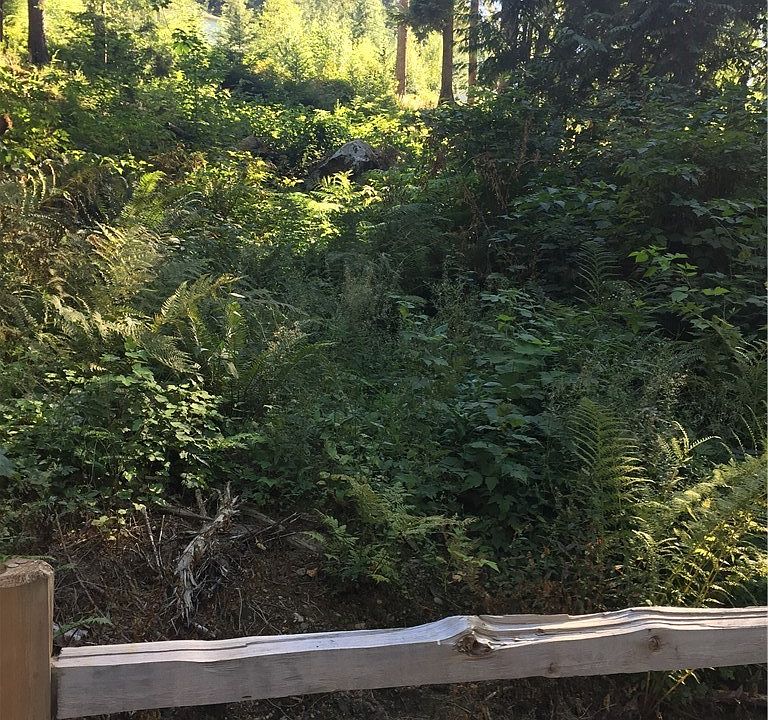1st image of 19706 Canyon Dr