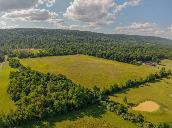 Frog Hollow Rd, Winchester, VA 22603