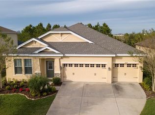 32653 Summerglade Dr, Wesley Chapel, FL 33545
