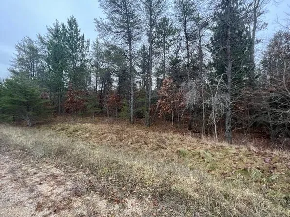 Ausable Rdg, Roscommon, MI 48653