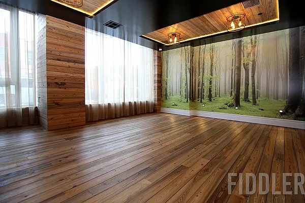 Rented by Fiddler Realty | media 219